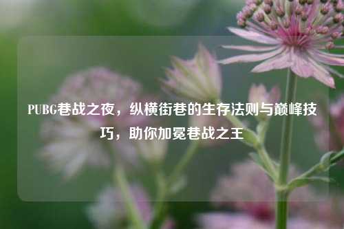 PUBG巷战之夜，纵横街巷的生存法则与巅峰技巧，助你加冕巷战之王