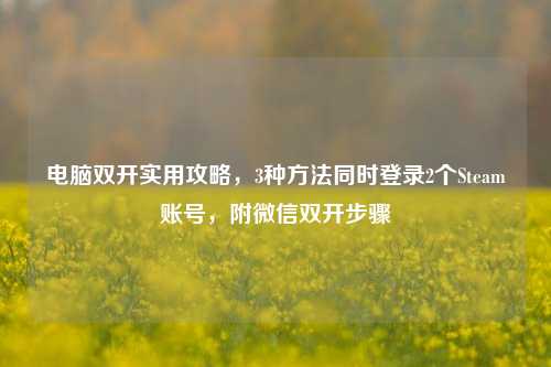 电脑双开实用攻略，3种方法同时登录2个Steam账号，附微信双开步骤