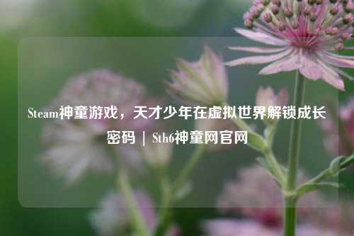 Steam神童游戏，天才少年在虚拟世界解锁成长密码 | Sth6神童网官网