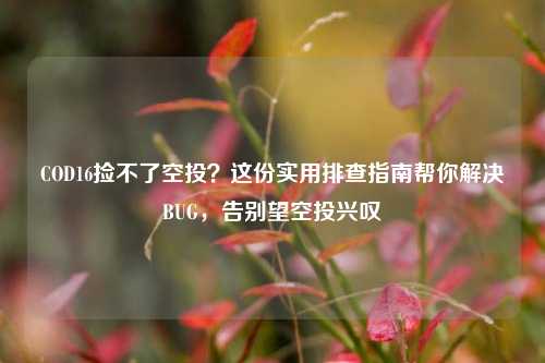 COD16捡不了空投？这份实用排查指南帮你解决BUG，告别望空投兴叹