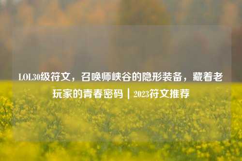 LOL30级符文，召唤师峡谷的隐形装备，藏着老玩家的青春密码｜2023符文推荐