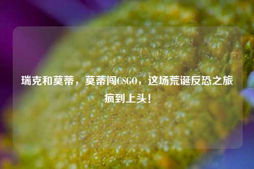 瑞克和莫蒂,莫蒂闯CSGO,这场荒诞反恐之旅疯到上头!