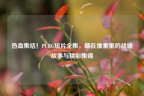 热血集结！PUBG短片全集，藏在像素里的战场故事与精彩集锦