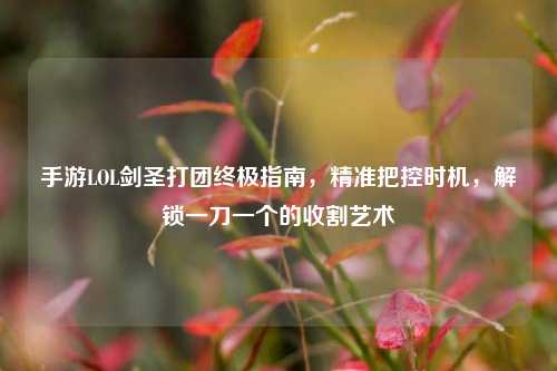 手游LOL剑圣打团终极指南，精准把控时机，解锁一刀一个的收割艺术