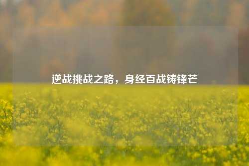 逆战挑战之路，身经百战铸锋芒