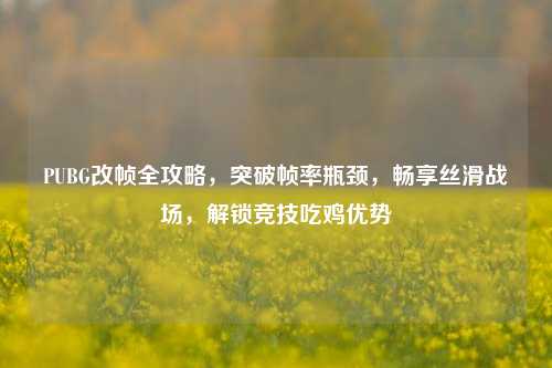 PUBG改帧全攻略，突破帧率瓶颈，畅享丝滑战场，解锁竞技吃鸡优势
