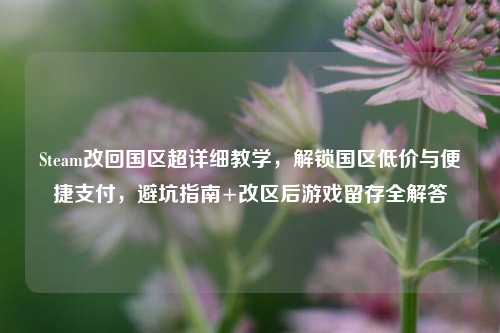 Steam改回国区超详细教学，解锁国区低价与便捷支付，避坑指南+改区后游戏留存全解答