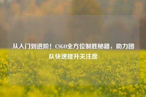 从入门到进阶!CSGO全方位制胜秘籍,助力团队快速提升关注度