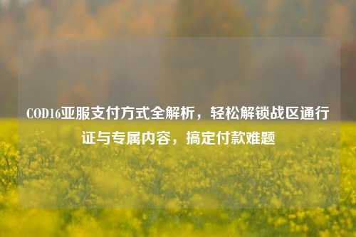 COD16亚服支付方式全解析，轻松解锁战区通行证与专属内容，搞定付款难题