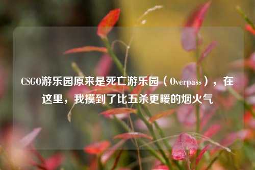 CSGO游乐园原来是死亡游乐园(Overpass),在这里,我摸到了比五杀更暖的烟火气