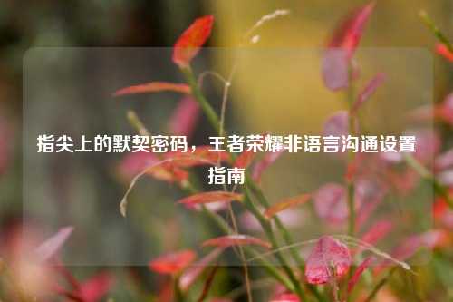 指尖上的默契密码，王者荣耀非语言沟通设置指南