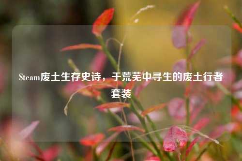 Steam废土生存史诗,于荒芜中寻生的废土行者套装