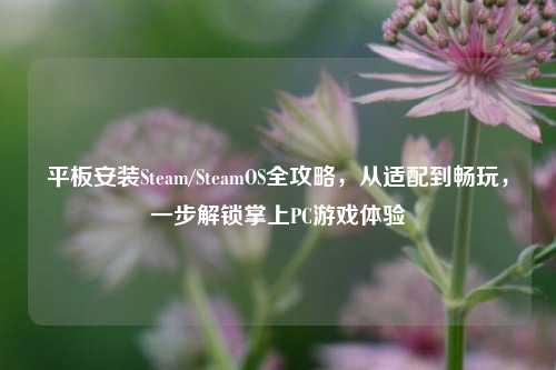 平板安装Steam/SteamOS全攻略,从适配到畅玩,一步解锁掌上PC游戏体验