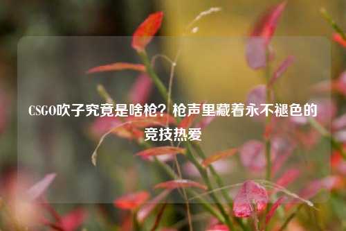 CSGO吹子究竟是啥枪？枪声里藏着永不褪色的竞技热爱