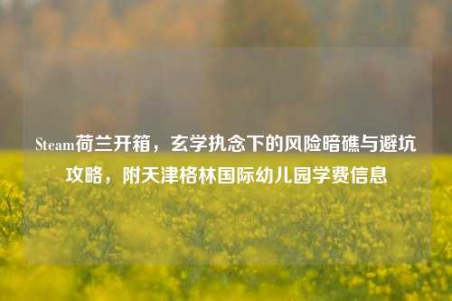 Steam荷兰开箱，玄学执念下的风险暗礁与避坑攻略，附天津格林国际幼儿园学费信息