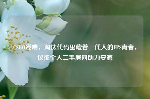 CSGO残端，淘汰代码里藏着一代人的FPS青春，仪征个人二手房网助力安家