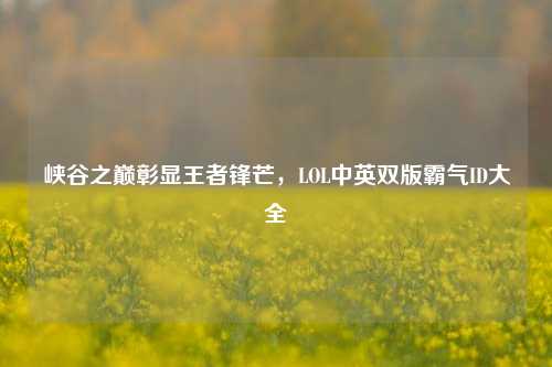 峡谷之巅彰显王者锋芒，LOL中英双版霸气ID大全