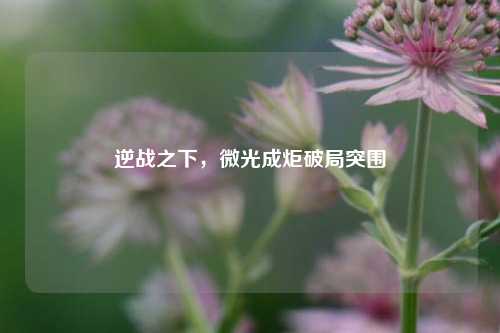 逆战之下，微光成炬破局突围