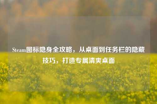 Steam图标隐身全攻略，从桌面到任务栏的隐藏技巧，打造专属清爽桌面