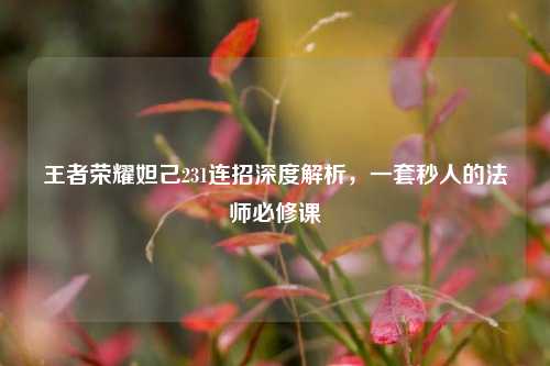 王者荣耀妲己231连招深度解析,一套秒人的法师必修课