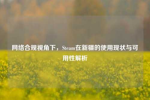 网络合规视角下，Steam在新疆的使用现状与可用性解析