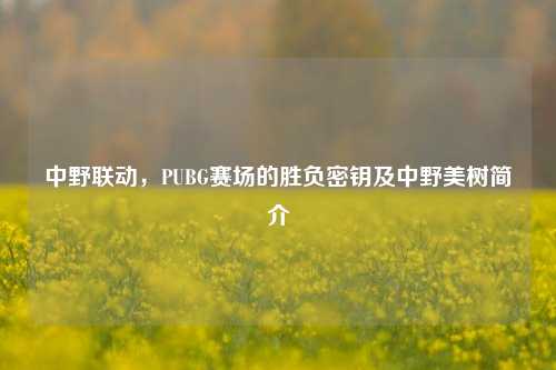中野联动，PUBG赛场的胜负密钥及中野美树简介