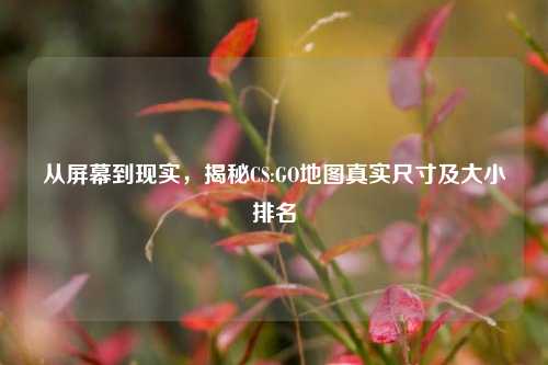 从屏幕到现实,揭秘CS:GO地图真实尺寸及大小排名