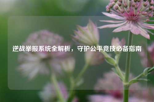 逆战举报系统全解析，守护公平竞技必备指南