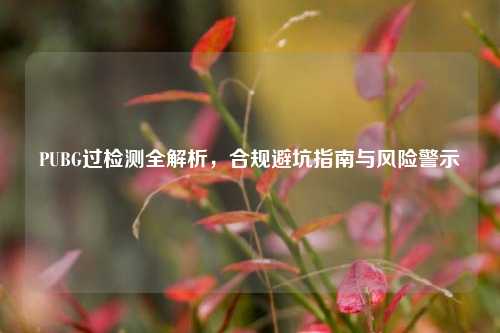 PUBG过检测全解析，合规避坑指南与风险警示