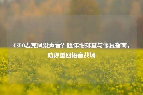 CSGO麦克风没声音？超详细排查与修复指南，助你重回语音战场