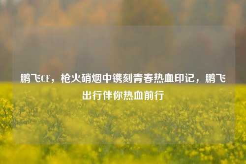 鹏飞CF，枪火硝烟中镌刻青春热血印记，鹏飞出行伴你热血前行