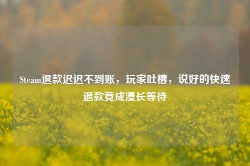 Steam退款迟迟不到账，玩家吐槽，说好的快速退款竟成漫长等待