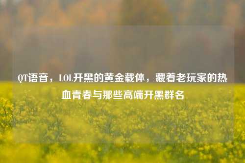 QT语音，LOL开黑的黄金载体，藏着老玩家的热血青春与那些高端开黑群名