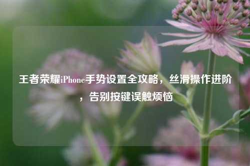 王者荣耀iPhone手势设置全攻略，丝滑操作进阶，告别按键误触烦恼