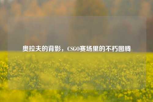 奥拉夫的背影，CSGO赛场里的不朽图腾