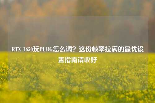 RTX 1650玩PUBG怎么调？这份帧率拉满的最优设置指南请收好