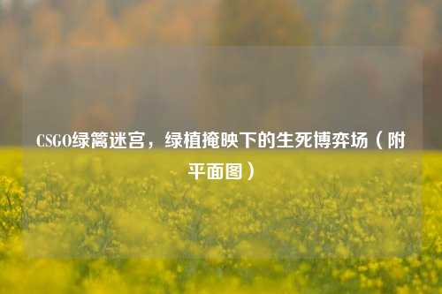 CSGO绿篱迷宫,绿植掩映下的生死博弈场(附平面图)