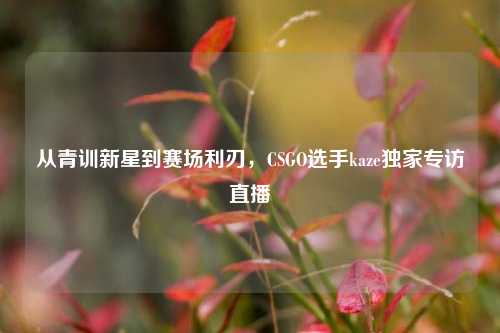 从青训新星到赛场利刃，CSGO选手kaze独家专访直播