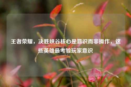 王者荣耀，决胜峡谷核心是意识而非操作，这些英雄最考验玩家意识