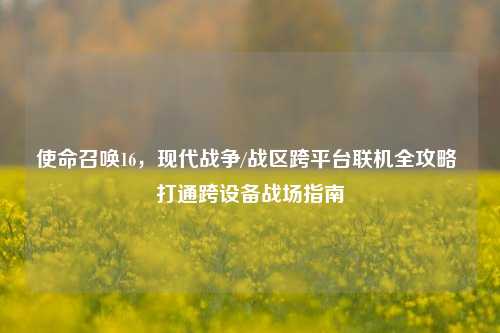 使命召唤16，现代战争/战区跨平台联机全攻略 打通跨设备战场指南
