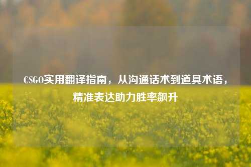 CSGO实用翻译指南,从沟通话术到道具术语,精准表达助力胜率飙升