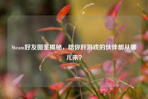 Steam好友图鉴揭秘，陪你肝游戏的伙伴都从哪儿来？