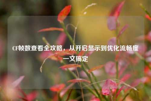 CF帧数查看全攻略，从开启显示到优化流畅度一文搞定
