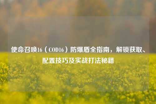 使命召唤16（COD16）防爆盾全指南，解锁获取、配置技巧及实战打法秘籍