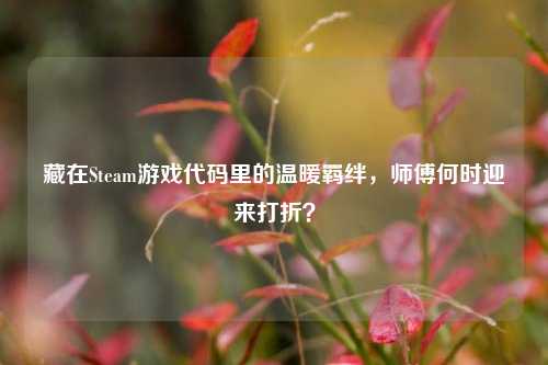 藏在Steam游戏代码里的温暖羁绊，师傅何时迎来打折？