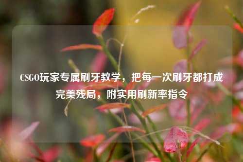 CSGO玩家专属刷牙教学，把每一次刷牙都打成完美残局，附实用刷新率指令