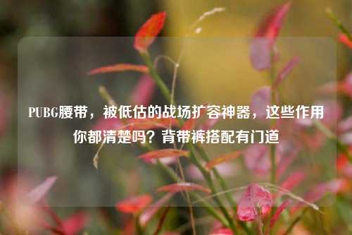 PUBG腰带，被低估的战场扩容神器，这些作用你都清楚吗？背带裤搭配有门道