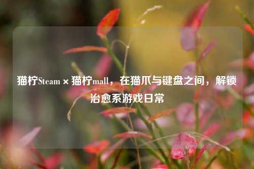 猫柠Steam×猫柠mall，在猫爪与键盘之间，解锁治愈系游戏日常