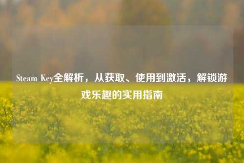 Steam Key全解析,从获取、使用到激活,解锁游戏乐趣的实用指南