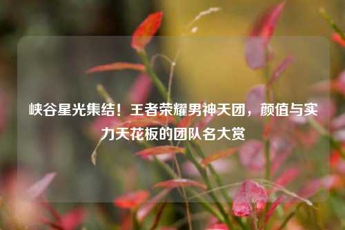 峡谷星光集结！王者荣耀男神天团，颜值与实力天花板的团队名大赏